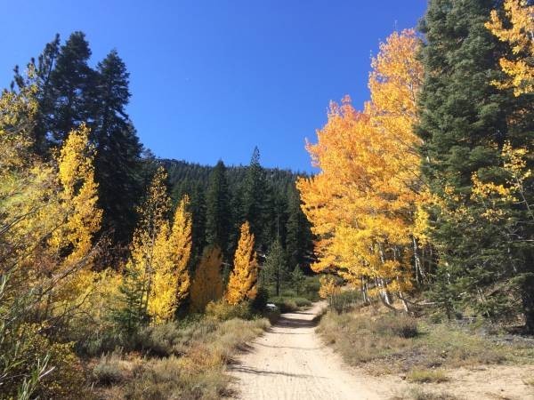 Best Lake Tahoe Autumn Hikes for Leaf Peepers