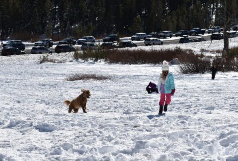 Cuatro Lugares Gratis en Lake Tahoe para Deslizarte en la Nieve